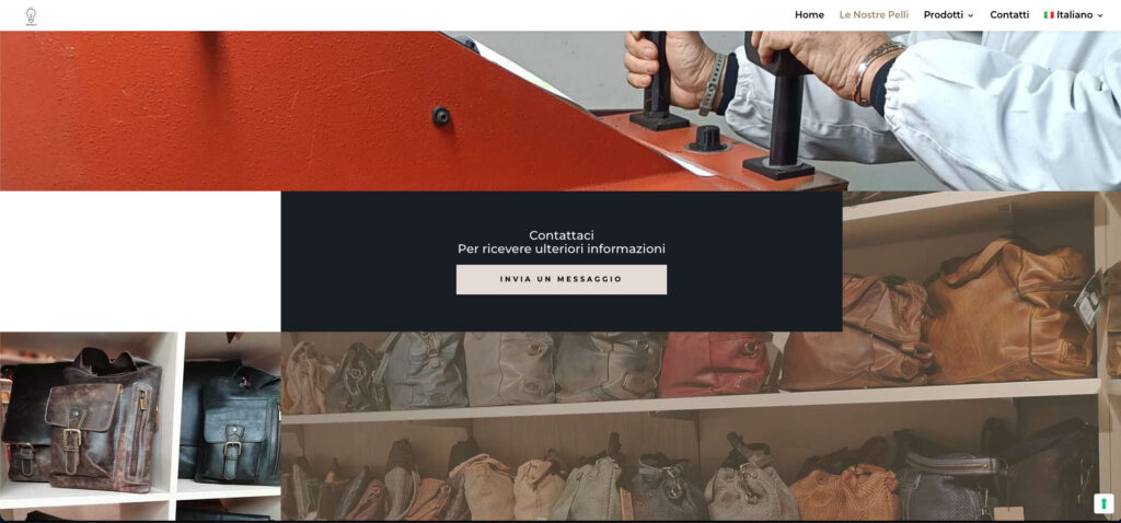 idea pelle cta portfolio brunello web